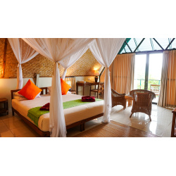 Standard Room 1